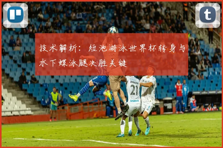 技术解析：短池游泳世界杯转身与水下蝶泳腿决胜关键
