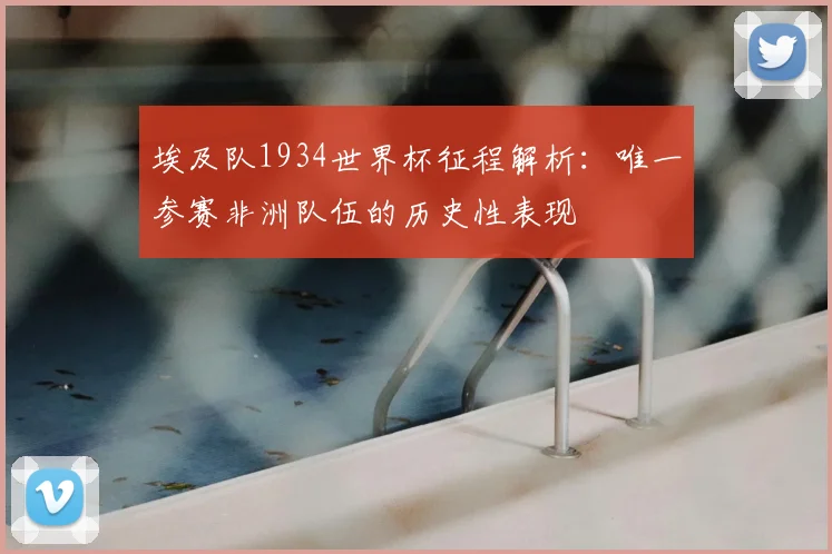 埃及队1934世界杯征程解析：唯一参赛非洲队伍的历史性表现