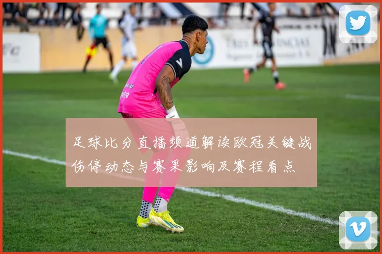 足球比分直播频道解读欧冠关键战伤停动态与赛果影响及赛程看点
