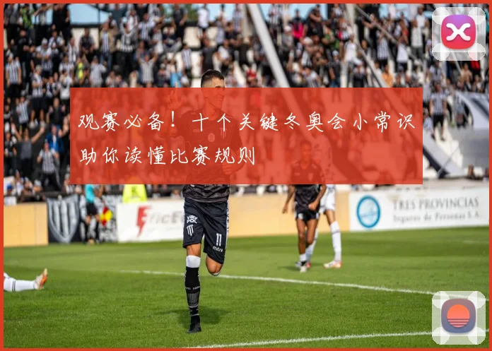 观赛必备！十个关键冬奥会小常识助你读懂比赛规则