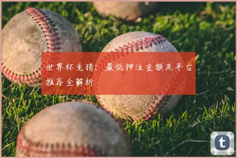 世界杯竞猜:最低押注金额及平台推荐全解析