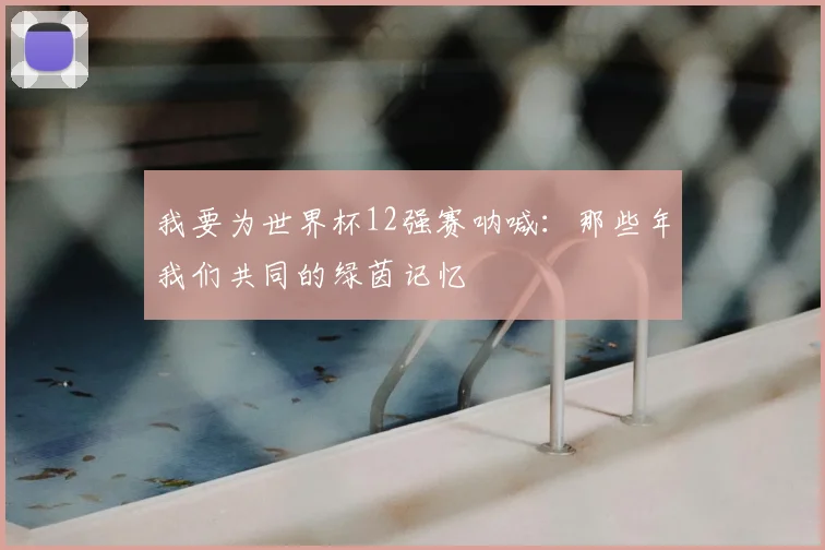 我要为世界杯12强赛呐喊：那些年我们共同的绿茵记忆