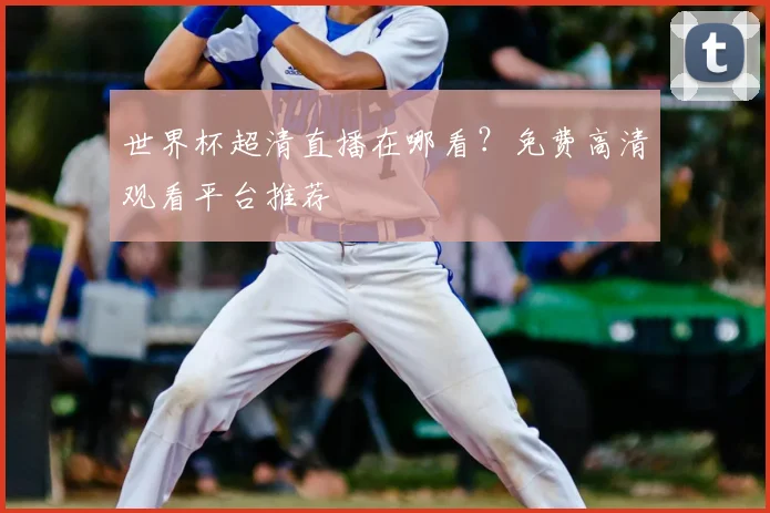 世界杯超清直播在哪看？免费高清观看平台推荐
