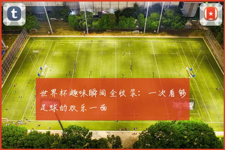 世界杯趣味瞬间全收录：一次看够足球的欢乐一面
