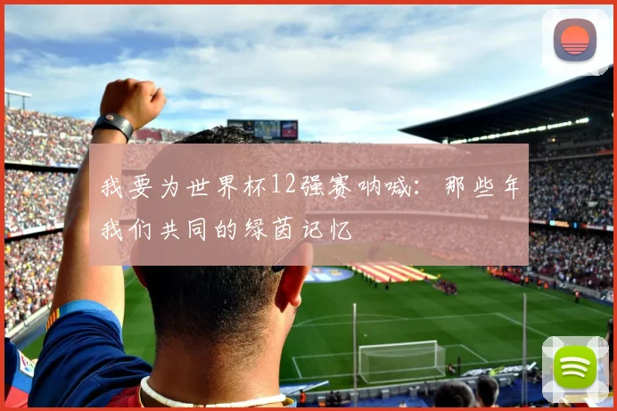 我要为世界杯12强赛呐喊:那些年我们共同的绿茵记忆