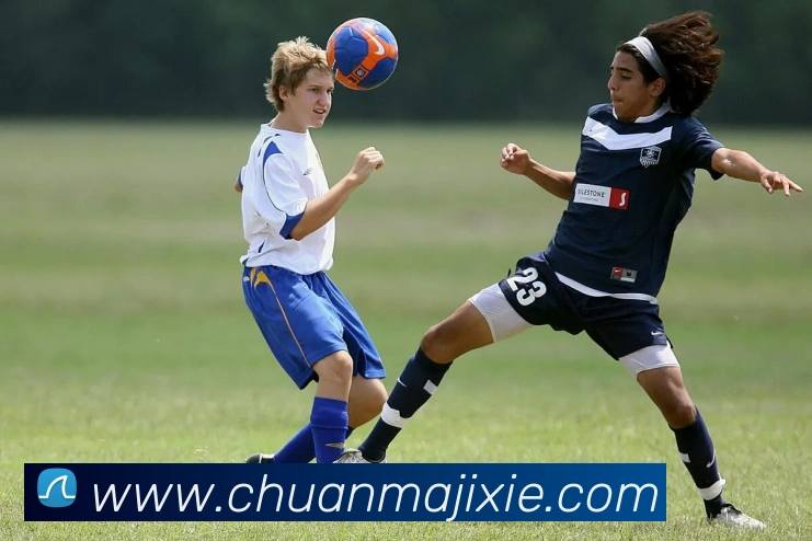 开云手机在线官网登录平台生态图